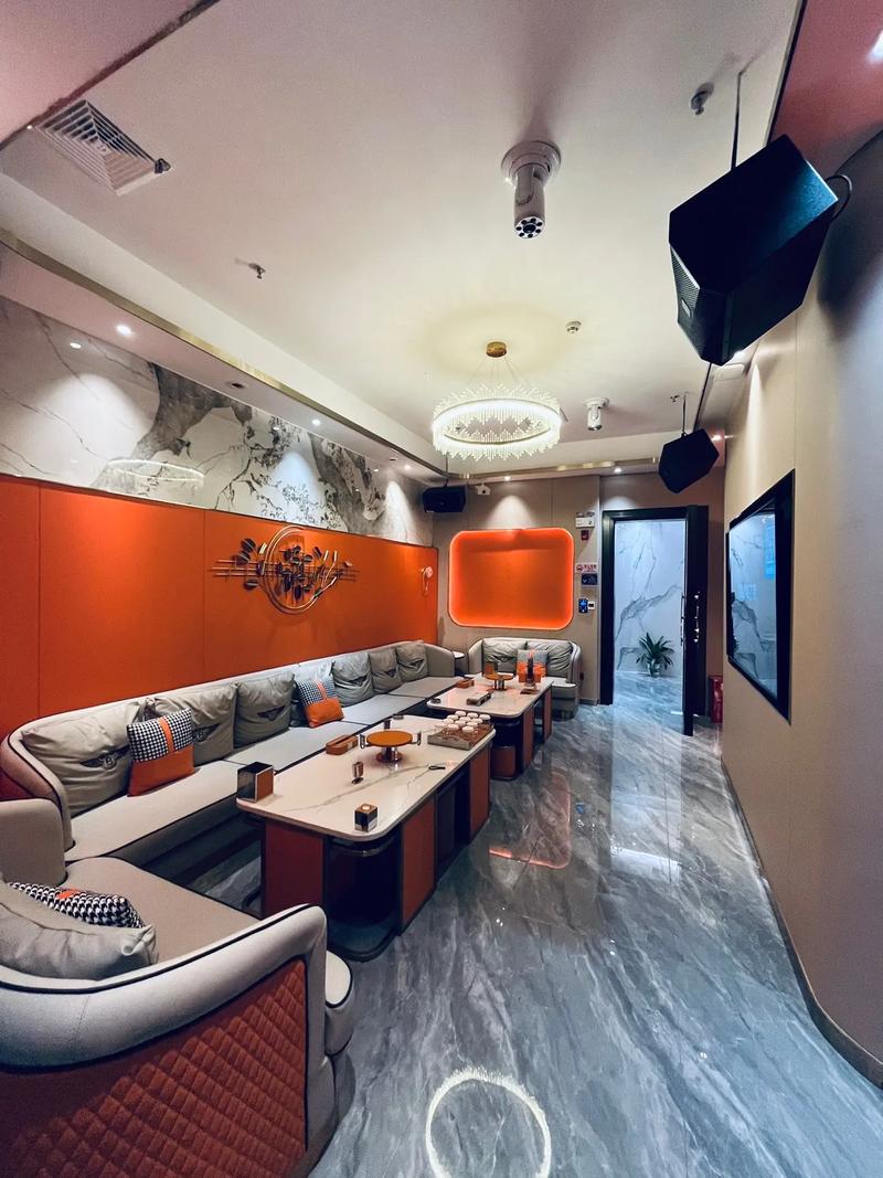 双鸭山商务ktv，单人商务ktv共享夜间乐趣-岭东区ktv预订